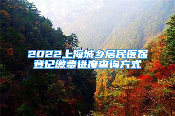 2022上海城鄉(xiāng)居民醫(yī)保登記繳費進度查詢方式