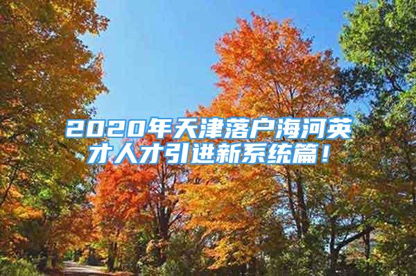 2020年天津落戶海河英才人才引進(jìn)新系統(tǒng)篇！