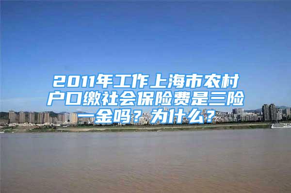 2011年工作上海市農(nóng)村戶口繳社會保險費是三險一金嗎？為什么？