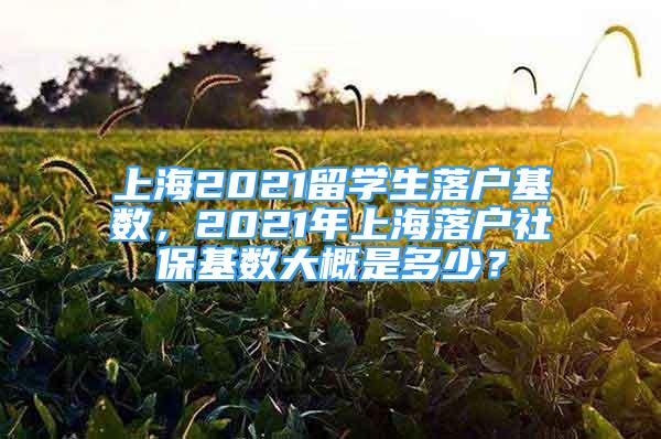 上海2021留學(xué)生落戶基數(shù)，2021年上海落戶社?；鶖?shù)大概是多少？