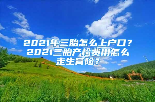 2021年三胎怎么上戶(hù)口？2021三胎產(chǎn)檢費(fèi)用怎么走生育險(xiǎn)？