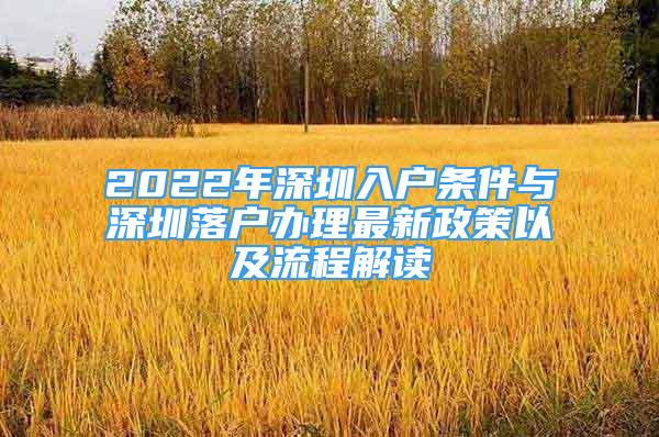 2022年深圳入戶條件與深圳落戶辦理最新政策以及流程解讀