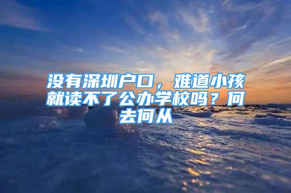 沒有深圳戶口，難道小孩就讀不了公辦學校嗎？何去何從