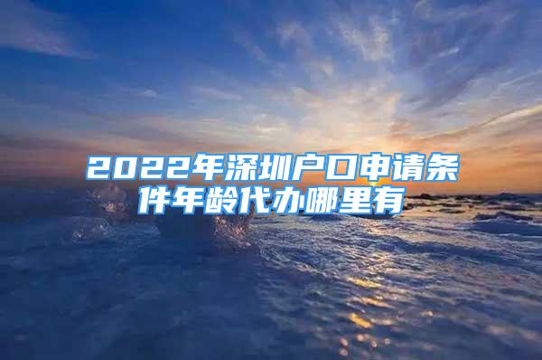 2022年深圳戶口申請條件年齡代辦哪里有