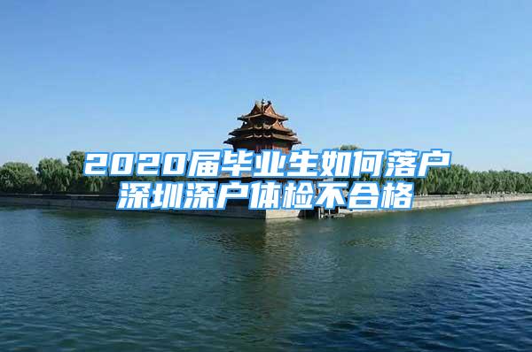 2020屆畢業(yè)生如何落戶深圳深戶體檢不合格