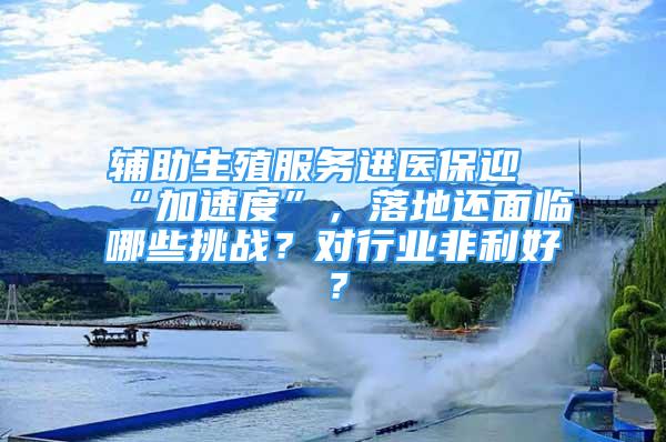 輔助生殖服務進醫(yī)保迎“加速度”，落地還面臨哪些挑戰(zhàn)？對行業(yè)非利好？