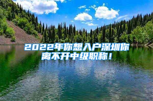 2022年你想入戶深圳你離不開(kāi)中級(jí)職稱！