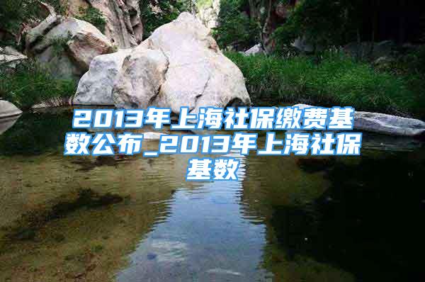 2013年上海社保繳費(fèi)基數(shù)公布_2013年上海社保基數(shù)