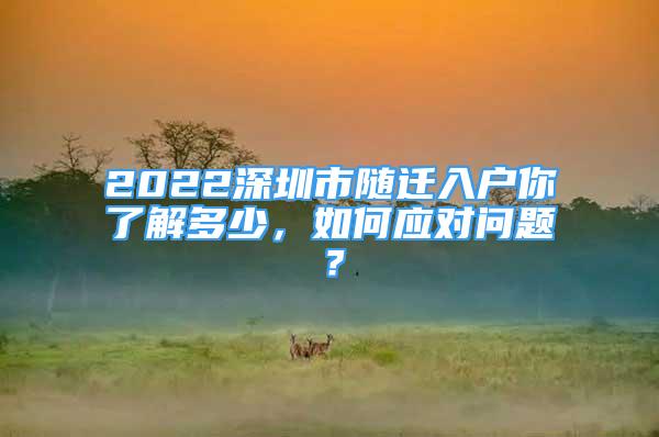 2022深圳市隨遷入戶你了解多少，如何應(yīng)對(duì)問題？