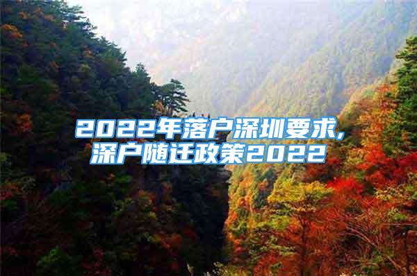 2022年落戶深圳要求,深戶隨遷政策2022