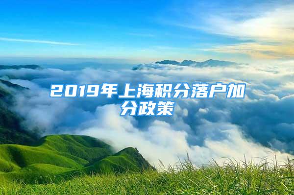 2019年上海積分落戶加分政策