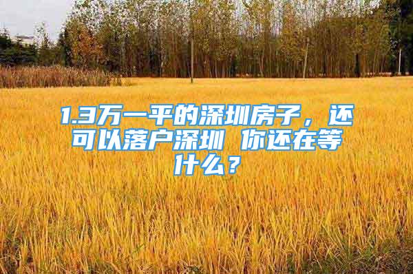 1.3萬一平的深圳房子，還可以落戶深圳 你還在等什么？