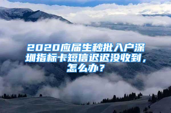 2020應(yīng)屆生秒批入戶深圳指標(biāo)卡短信遲遲沒收到，怎么辦？