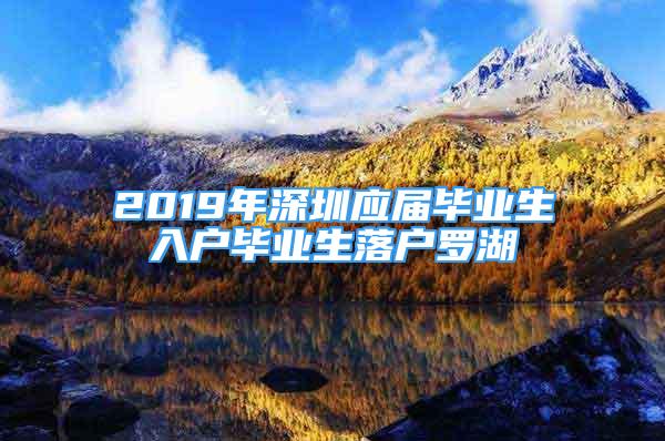 2019年深圳應(yīng)屆畢業(yè)生入戶畢業(yè)生落戶羅湖