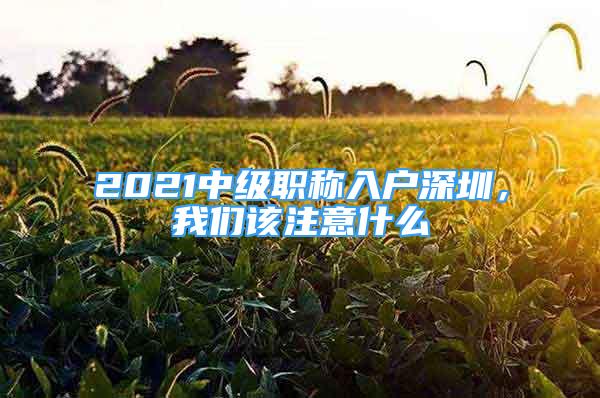 2021中級職稱入戶深圳，我們該注意什么