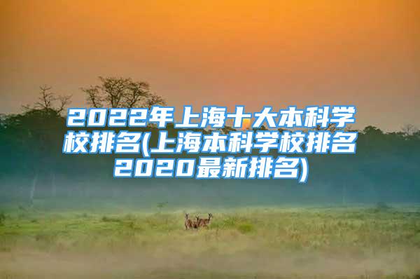 2022年上海十大本科學(xué)校排名(上海本科學(xué)校排名2020最新排名)