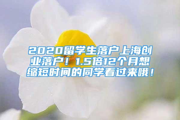 2020留學(xué)生落戶上海創(chuàng)業(yè)落戶！1.5倍12個(gè)月想縮短時(shí)間的同學(xué)看過(guò)來(lái)哦！