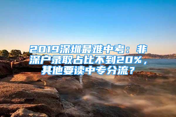 2019深圳最難中考：非深戶錄取占比不到20%，其他要讀中專分流？