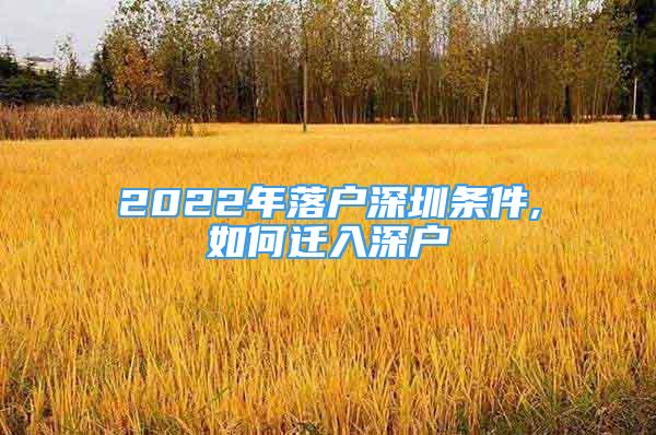 2022年落戶深圳條件,如何遷入深戶