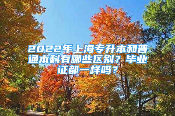 2022年上海專升本和普通本科有哪些區(qū)別？畢業(yè)證都一樣嗎？