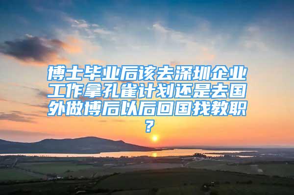 博士畢業(yè)后該去深圳企業(yè)工作拿孔雀計劃還是去國外做博后以后回國找教職？