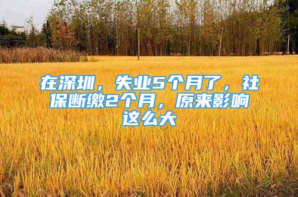 在深圳，失業(yè)5個(gè)月了，社保斷繳2個(gè)月，原來(lái)影響這么大