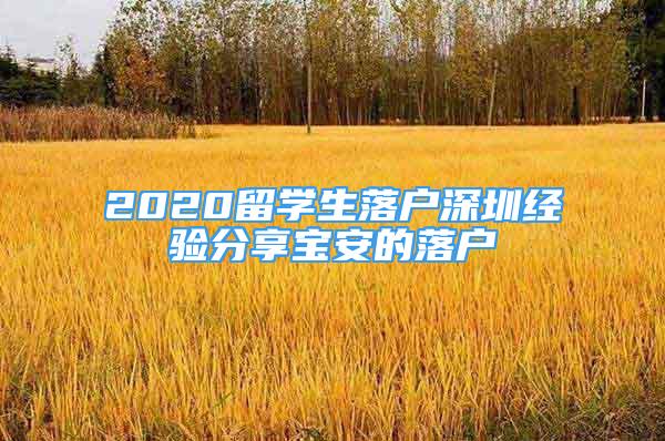 2020留學(xué)生落戶深圳經(jīng)驗分享寶安的落戶