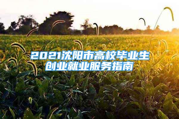 2021沈陽市高校畢業(yè)生創(chuàng)業(yè)就業(yè)服務(wù)指南