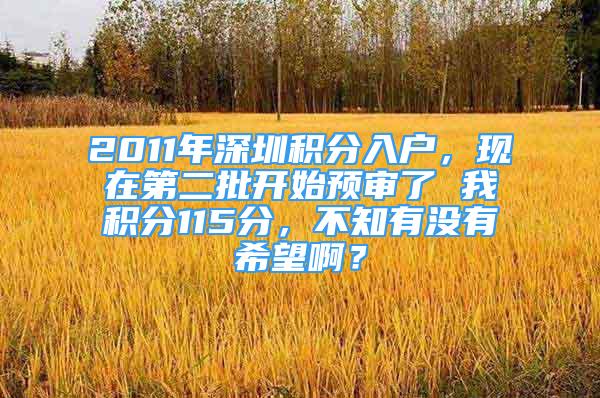 2011年深圳積分入戶，現(xiàn)在第二批開始預(yù)審了 我積分115分，不知有沒有希望??？