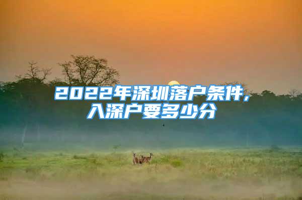 2022年深圳落戶條件,入深戶要多少分