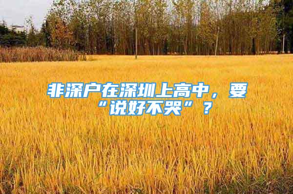 非深戶在深圳上高中，要“說好不哭”？