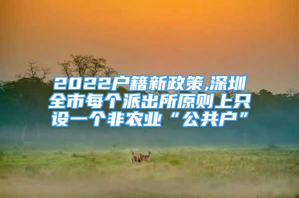 2022戶籍新政策,深圳全市每個派出所原則上只設一個非農業(yè)“公共戶”