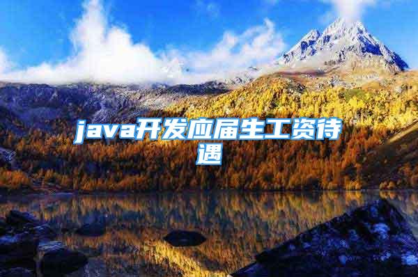 java開發(fā)應(yīng)屆生工資待遇