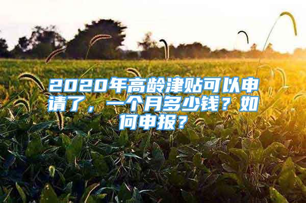 2020年高齡津貼可以申請了，一個(gè)月多少錢？如何申報(bào)？