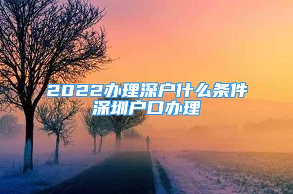 2022辦理深戶什么條件深圳戶口辦理