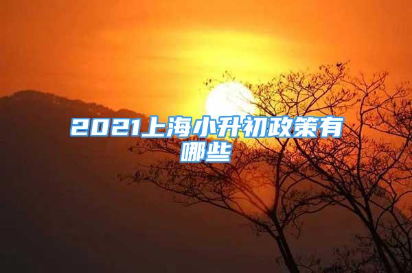 2021上海小升初政策有哪些