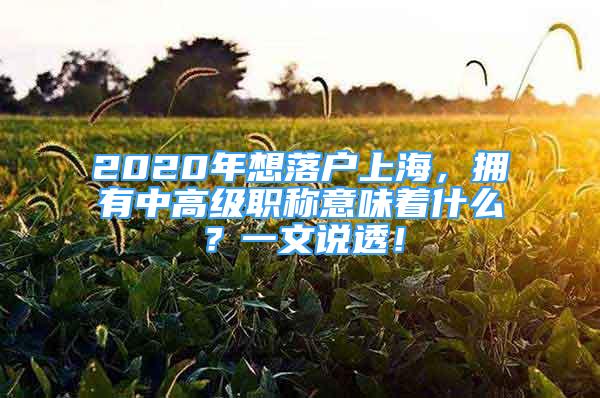 2020年想落戶上海，擁有中高級職稱意味著什么？一文說透！