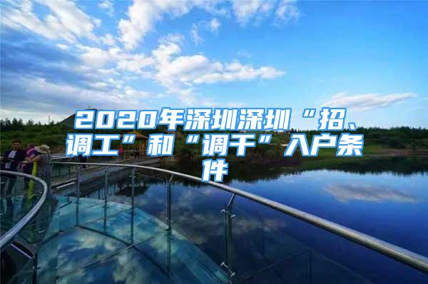 2020年深圳深圳“招、調(diào)工”和“調(diào)干”入戶條件