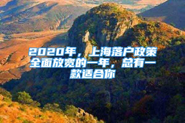 2020年，上海落戶政策全面放寬的一年，總有一款適合你