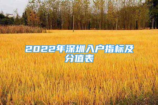 2022年深圳入戶指標(biāo)及分值表