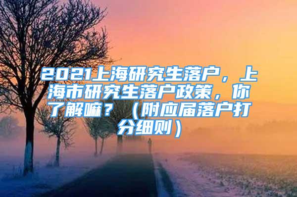 2021上海研究生落戶，上海市研究生落戶政策，你了解嘛？（附應屆落戶打分細則）