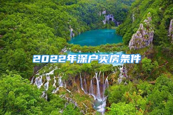 2022年深戶買房條件