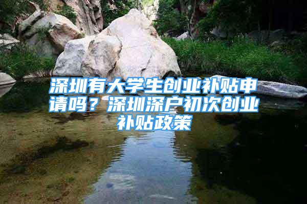 深圳有大學(xué)生創(chuàng)業(yè)補(bǔ)貼申請(qǐng)嗎？深圳深戶初次創(chuàng)業(yè)補(bǔ)貼政策