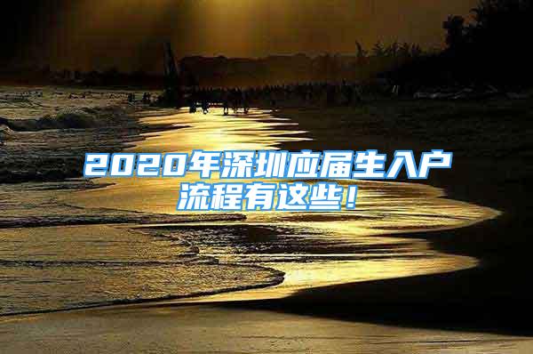 2020年深圳應屆生入戶流程有這些！