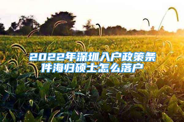 2022年深圳入戶政策條件海歸碩士怎么落戶