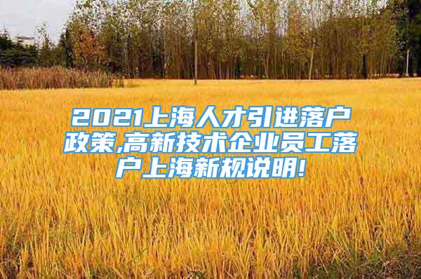 2021上海人才引進落戶政策,高新技術企業(yè)員工落戶上海新規(guī)說明!