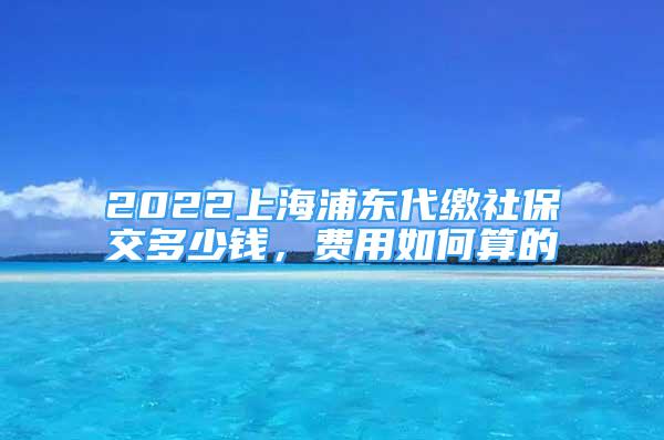 2022上海浦東代繳社保交多少錢，費用如何算的