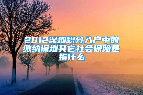 2012深圳積分入戶中的繳納深圳其它社會(huì)保險(xiǎn)是指什么