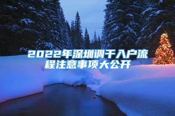 2022年深圳調(diào)干入戶流程注意事項大公開