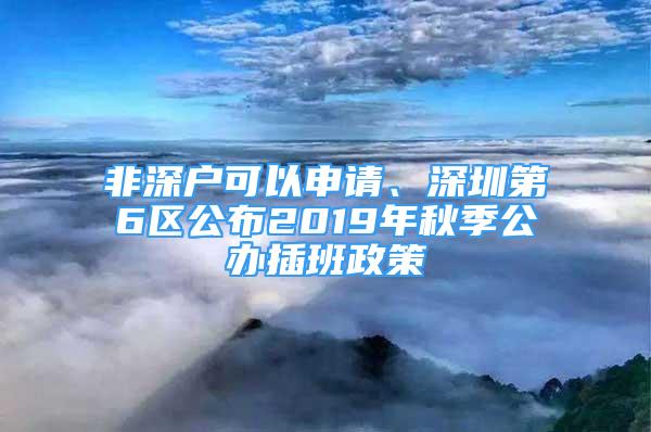 非深戶可以申請(qǐng)、深圳第6區(qū)公布2019年秋季公辦插班政策